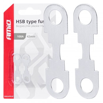 ΑΣΦΑΛΕΙΕΣ FLAT 42mm 100A AMIO - 2 ΤΕΜ. ΑΣΦΑΛΕΙΕΣ FLAT 42mm 100A AMIO - 2 ΤΕΜ.