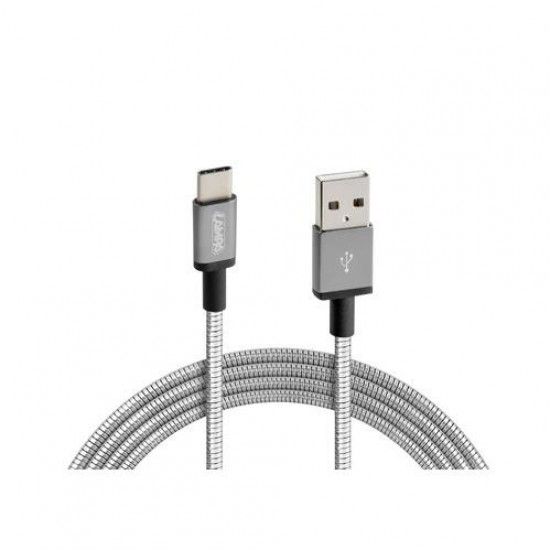 ΚΑΛΩΔΙΟ USB ΦΟΡΤΙΣΗΣ & ΣΥΓΧΡΟΝΙΣΜΟΥ IRON SILVER LINE - TYPE C (100 cm) Καλώδια